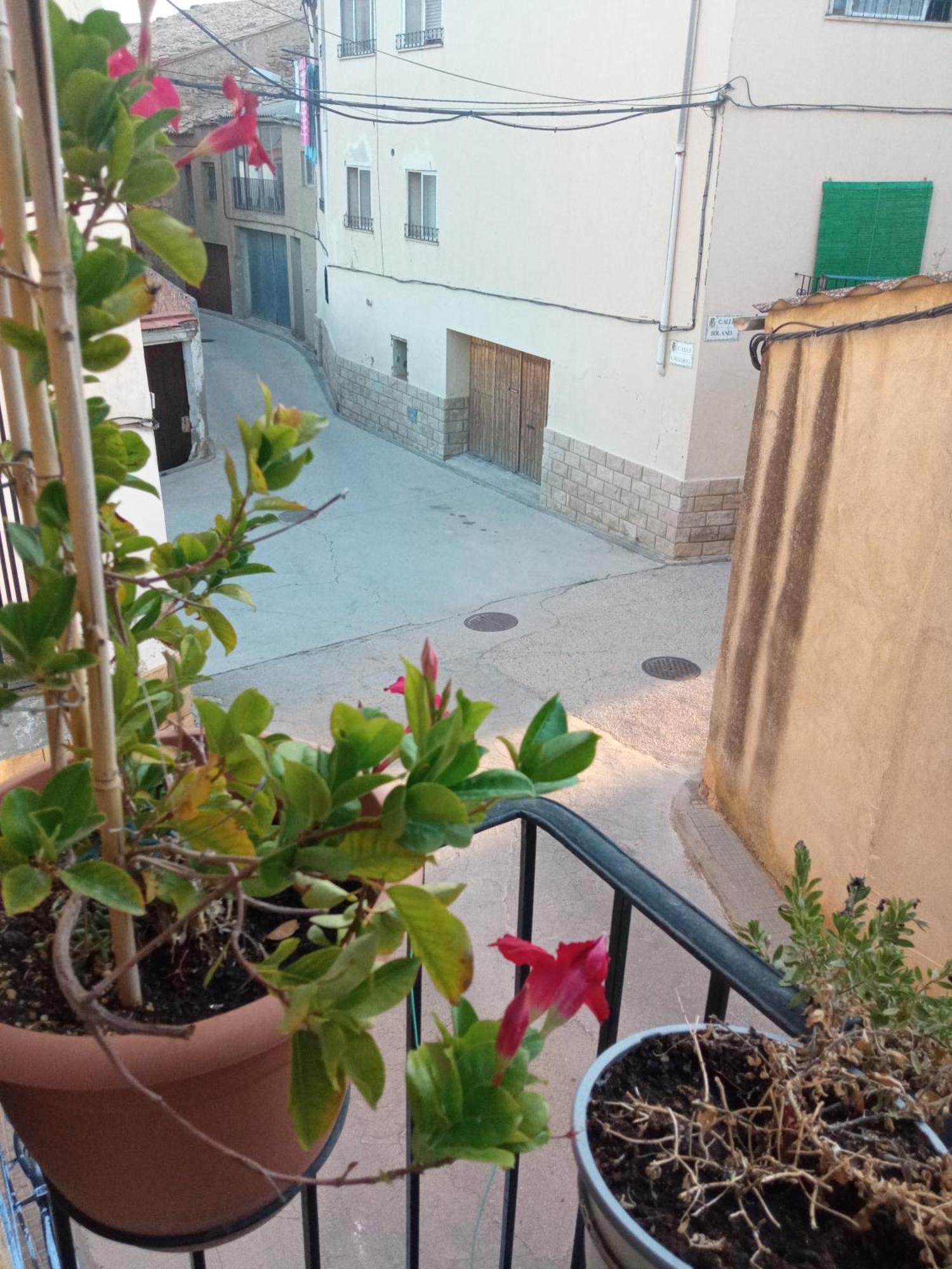 Musas Gastro Casa Rural Daire Valdealgorfa Dış mekan fotoğraf